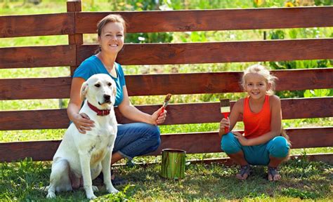 9 DIY Dog Fence Plans: Blueprints for Keeping Your Canine Contained!