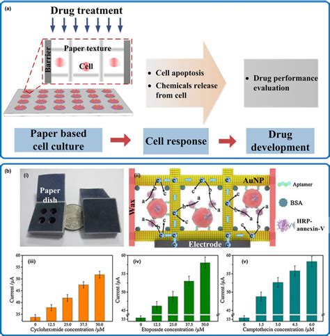 Application Of Paper Based Cell Culture Platform For Drug Screening