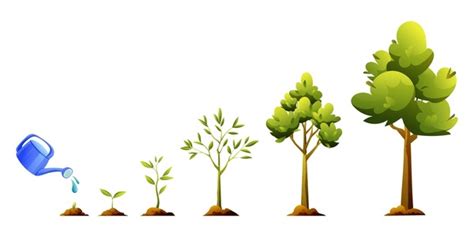 Cartoon Tree Growing: Over 27,248 Royalty-Free Licensable Stock Vectors ...