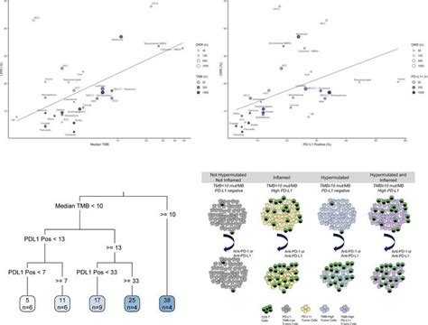 Jci Insight Pd L1 Expression And Tumor Mutational Burden Are Independent Biomarkers In Most