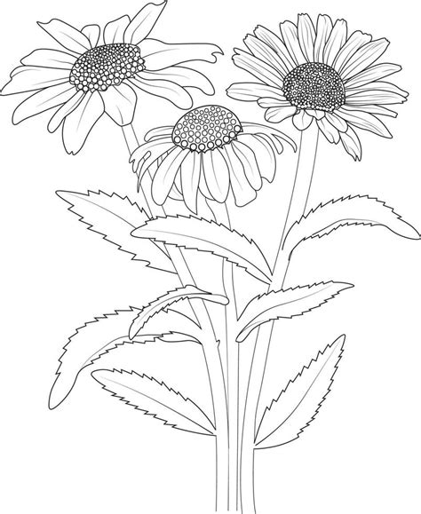 Vector Sketch Of Daisy Flowers Vector Illustration Of A Beautiful