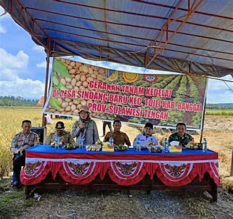 TINGKATKAN LUAS TAMBAH TANAM MELALUI GERAKAN TANAM KEDELAI DI KABUPATEN