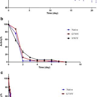 Inactivation rate of wild-type and mutated chABC I at 4 °C (a), 25 °C ...