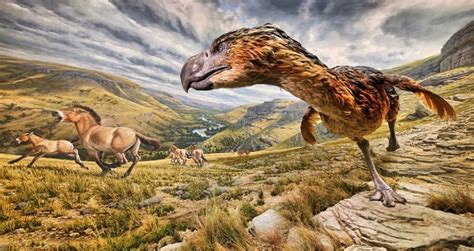 Meet The Terror Bird The Prehistoric Predator Of Your Nightmares