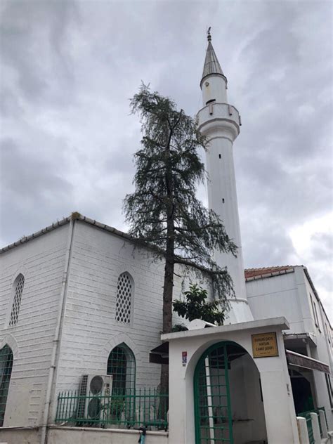 Daye Hatun Camii Kültür Envanteri