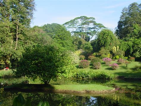 Henerathgoda Botanical Garden Gampaha Ce Quil Faut Savoir