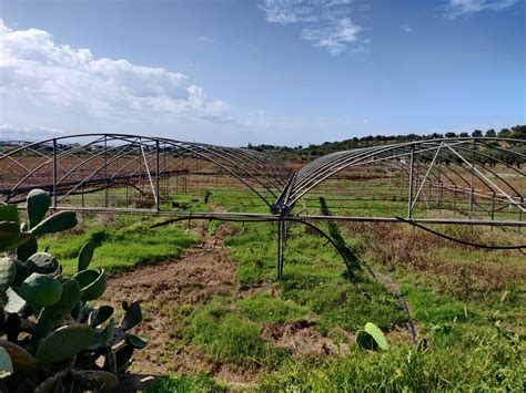 Coltiviamo Agricoltura Sociale Ecco L Ottava Edizione Corriere Dell