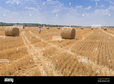 Straw Bales Tractor Supply Hi Res Stock Photography And