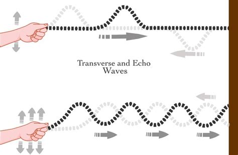 123 Crest Trough Transverse Wave Royalty Free Photos And Stock Images