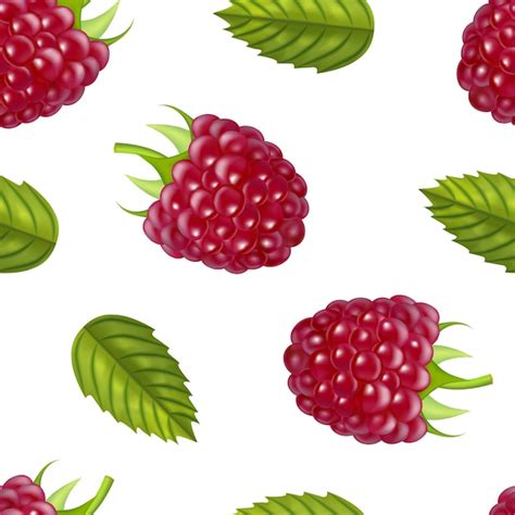 Premium Vector Realistic Detailed Ripe Red Raspberry Berry Vector