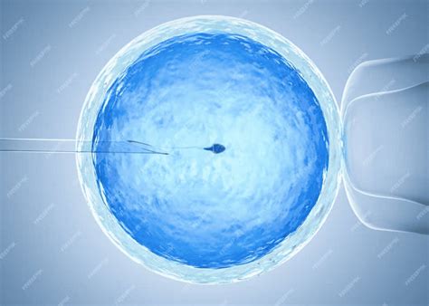 Iui Treatment Cost In Hyderabad Expert Fertility Care At Felicity