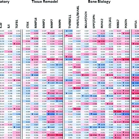 Heatmap Of Circadian Rhythm Pathway Gene Expression Profiles Correlated