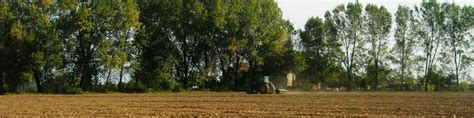 L Agricoltura Parco Agricolo Del Ticinello