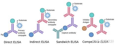 Elisa