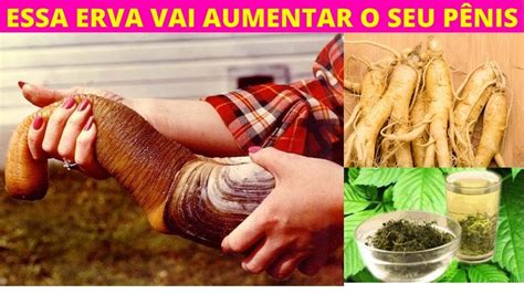 Como Aumentar O Penis De Forma Natural - MILAGROSA ERVA vai AUMENTAR o seu PÊNIS de forma NATURAL!!! - YouTube