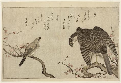 Japanese Bird And Flower Prints Risd Museum