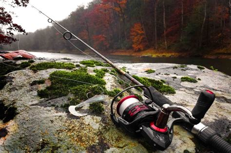 Основные виды удилищ