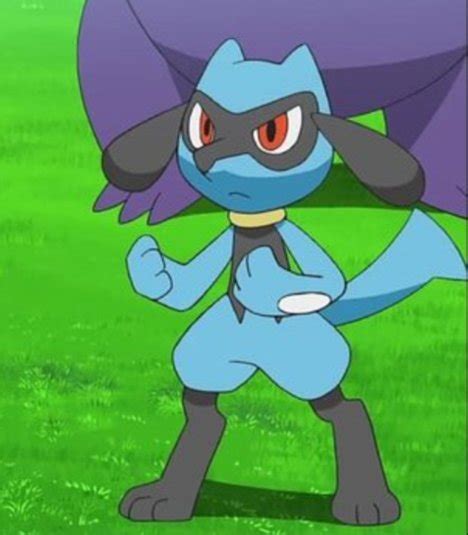 Riolu Wiki Pok Mon Rp Shintaku Region Amino