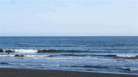 波情報 湘南 腰腹 Panteraスタビ を乗り倒し サーフボードクオリティーハードコア Quality Hardcore Distributions