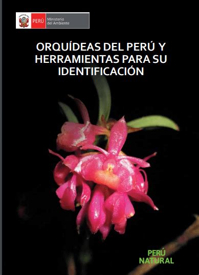 Manual de Identificación de orquídeas del Perú Libros y Manuales de