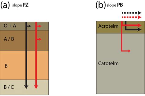 Conceptual Models Of Runoff Formation And Subsurface Stormflow For