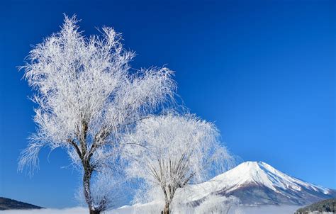 Mount Fuji Winter Wallpapers - Wallpaper Cave