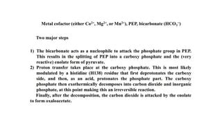 Enzymes classification | PPT | Free Download