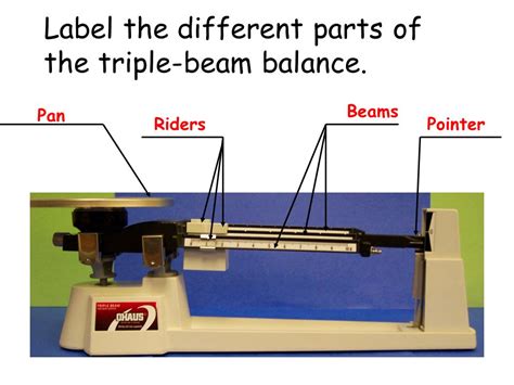 Triple Beam Balance Drawing at GetDrawings | Free download