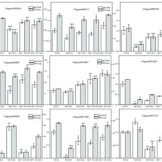 Validation Of Degs By Qrt Pcr Degs Were Randomly Selected For