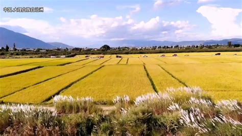 大理的田园风光，别有一番韵味旅游旅途风光好看视频