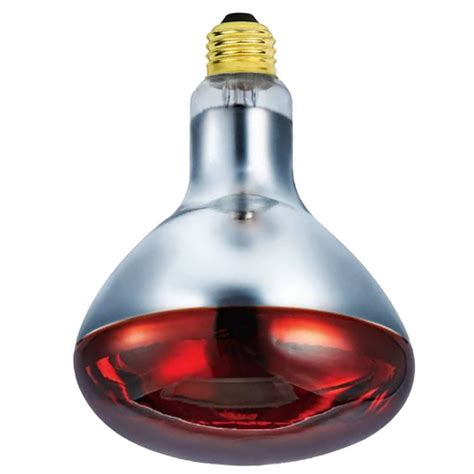 Infrared Heat Lamp - GMY Lighting Technology Co., Ltd.