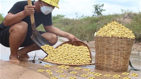 Unbelievable Poor Man Walked Dig Sand Found Million Golds Follow