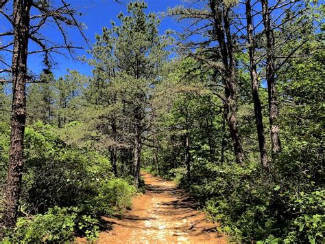 18 Best Hiking Trails On Long Island For Every Type Of Hiker