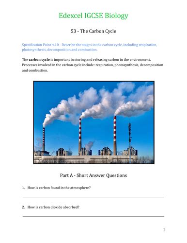 Edexcel Igcse Biology Worksheet 53 The Carbon Cycle Teaching Resources