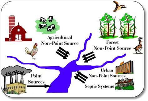 Point Source Pollution