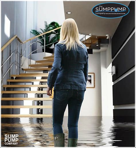 Do You Think Your Sump Pump Has Failed ? - Do You Think Your Sump Pump Has Failed