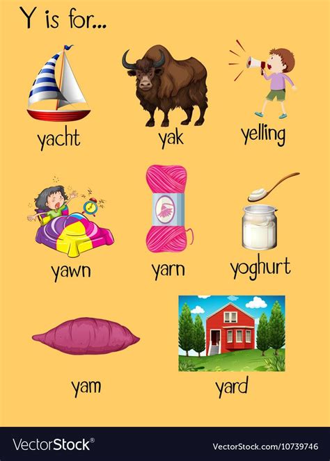 Nouns Beginning With The Letter Y