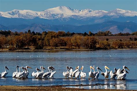 Cherry Creek Reservoir - WorldAtlas