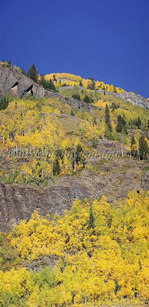 Fine Art Nature Photography Wpl Usa Colorado Ouray