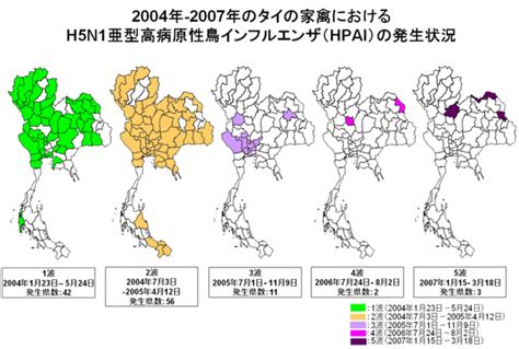 動物衛生研究部門高病原性鳥インフルエンザ現地滞在研究員によるタイの高病原性鳥インフルエンザ発生状況報告2004年～2007年 農研機構