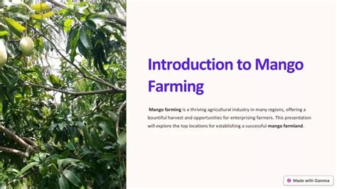 Ppt Top Spots For Purchasing Farmland For Mango Farming Powerpoint