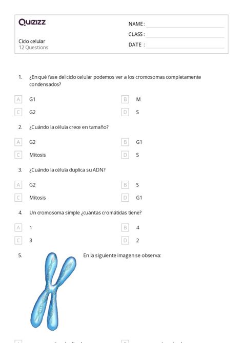 El Ciclo Celular Y La Mitosis Hojas De Trabajo En Quizizz Gratis