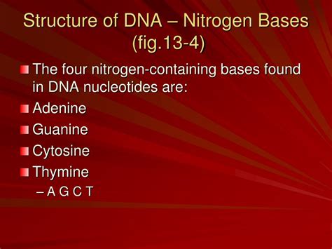 PPT - Chapters 13: DNA Structure & Function Ch.14 From DNA to Protein ...