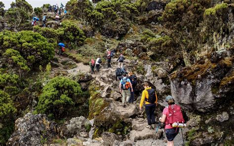 7 Days Tanzania Kilimanjaro Climbing Machame Route Hazzes Adventure