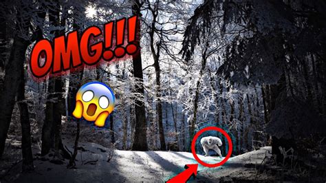 5 Most Unbelievable YETI Sightings Caught On Camera YouTube