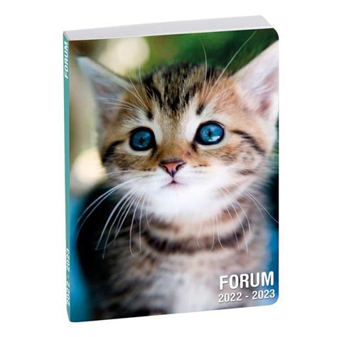 Agenda Scolaire Exacompta Forum Chaton Cdiscount Beaux Arts