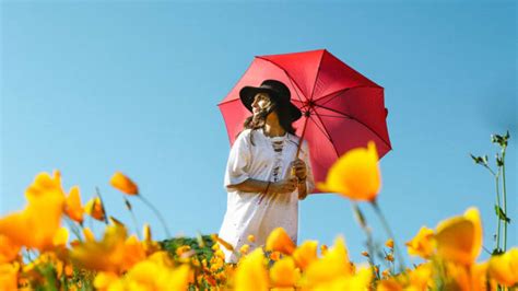 Do Sun Umbrellas Provide Enough UV Protection? | LearnSkin