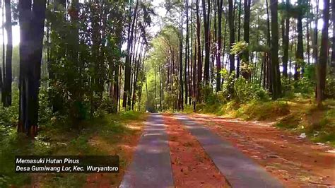 Jalan Jalan Di Wonogiri Kampung Halaman Wuryantoro Desa Gumiwang Lor