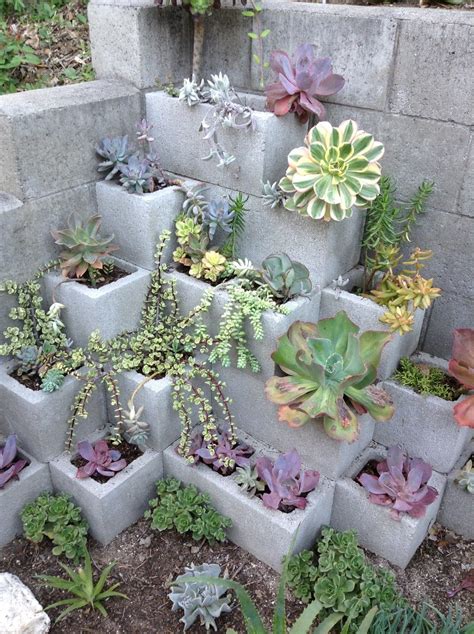 50 Best Succulent Garden Ideas For 2018