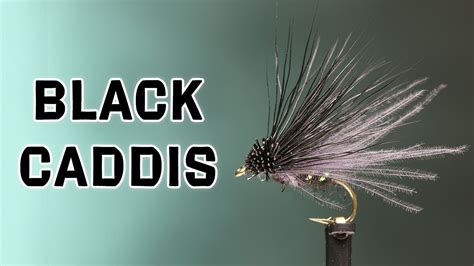 Black Caddis Dry Fly Pattern CDC Variation Fly Tying Tutorial YouTube